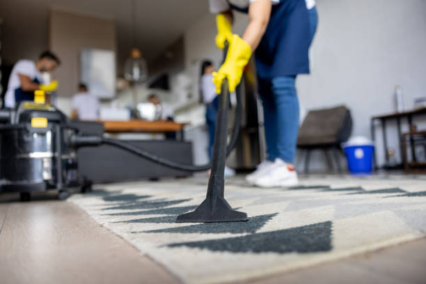 Move-Out Cleaning Experts