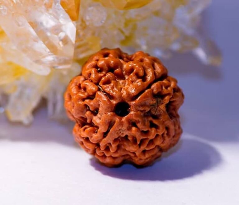 4 Mukhi Rudraksha: A Journey into Ancient Wisdom and Modern Use