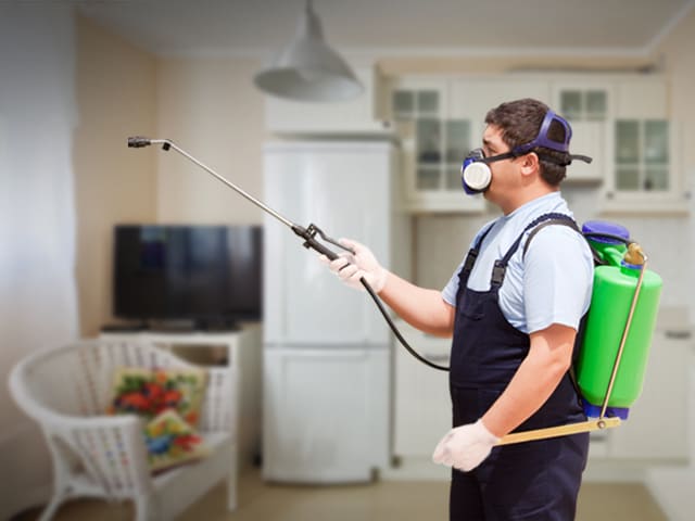pest-control-cambridge-ontario