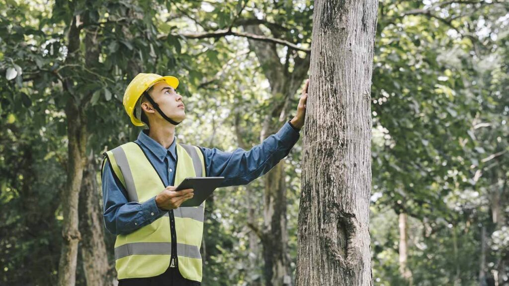 Urban Forestry