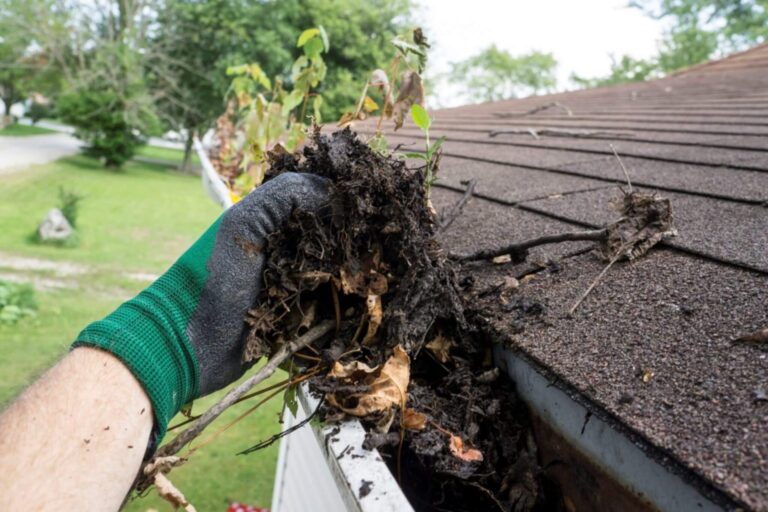 Gutter cleaning Sydney