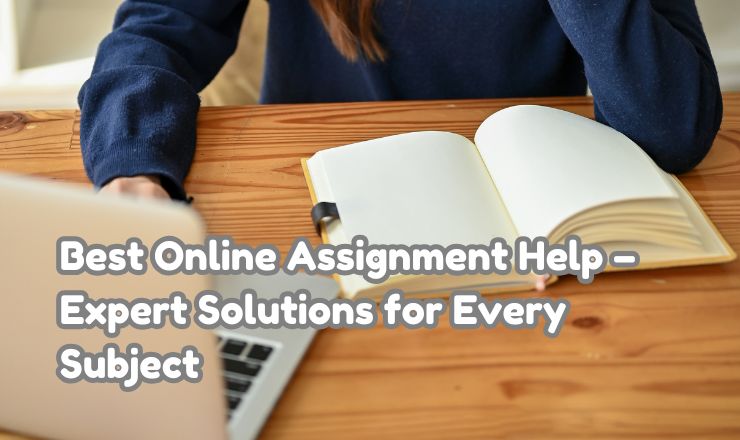 assignment help