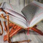 Easy-to-Follow Tafseer Course for Beginners & Adults