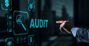 Software Audit Services