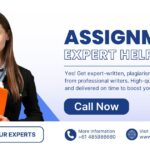 Need Someone to Write Your Assignment? Expert Help Here