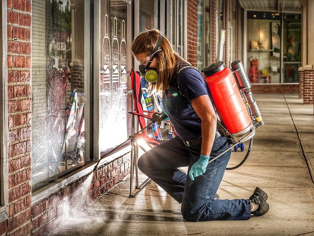 Pest-control-elmont