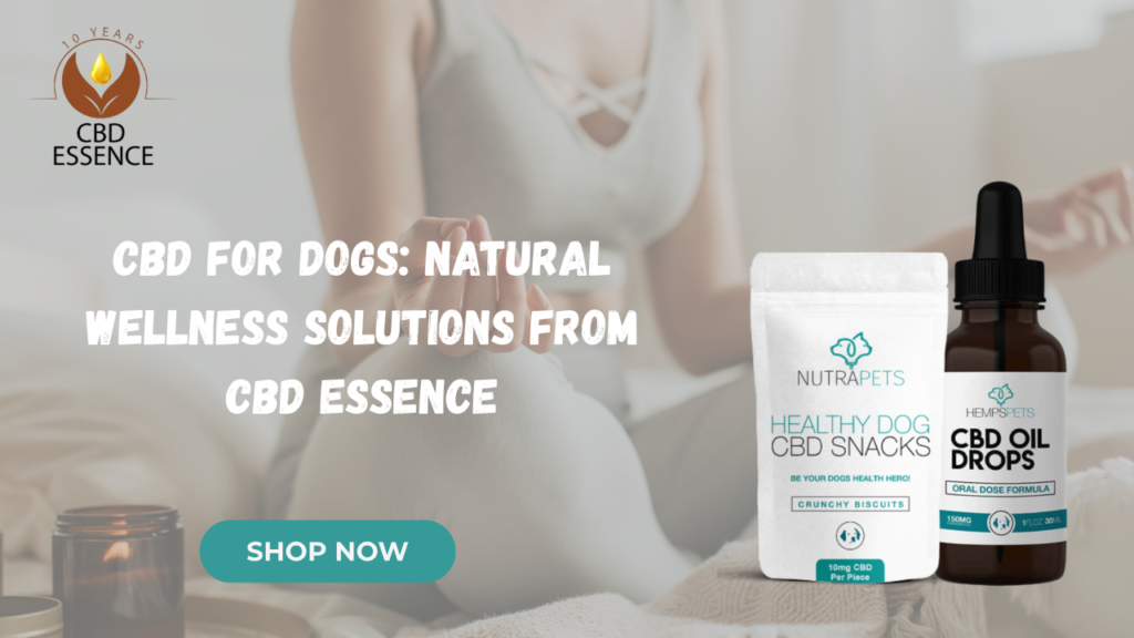 CBD for Dogs