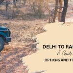 Your Delhi to Ranthambore Safari: A Comprehensive Travel Guide