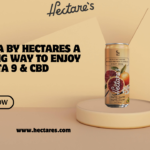 hemp soda
