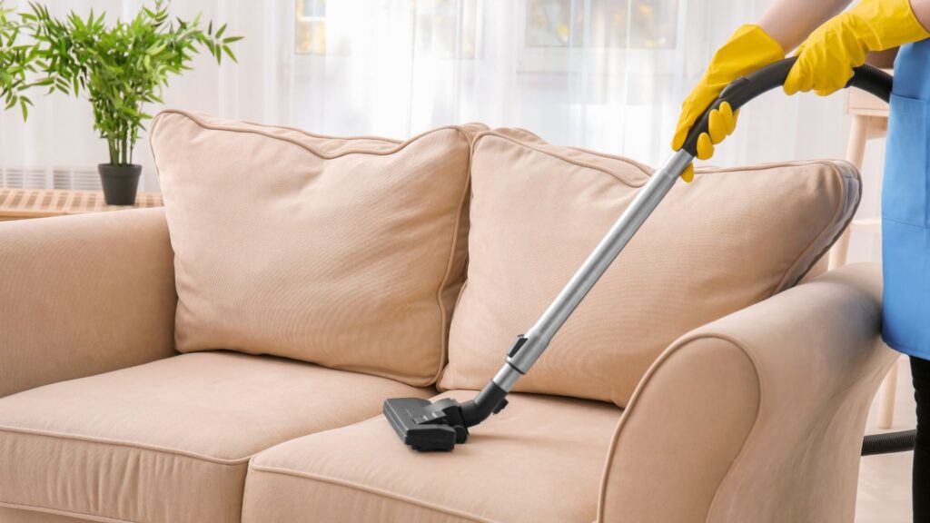 furniture cleaning services
