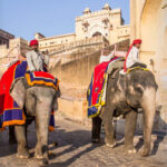 golden triangle tour with udaipur