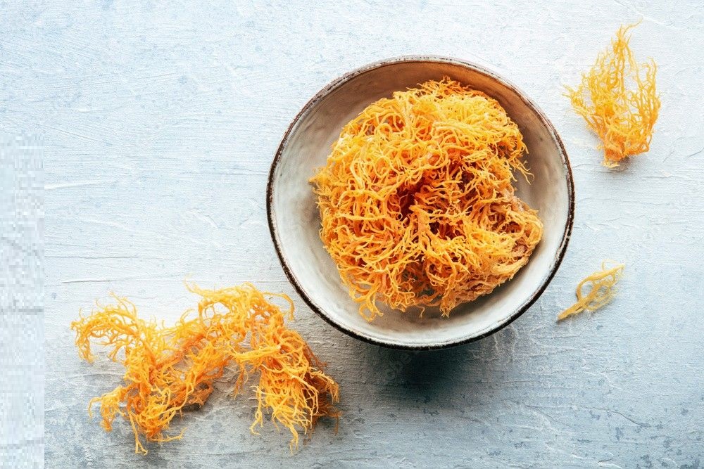 Irish sea moss