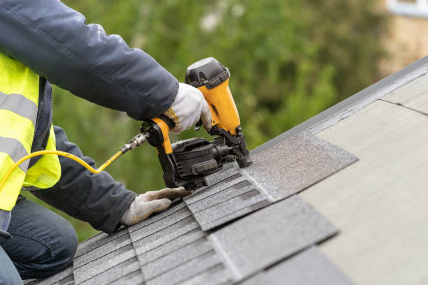 istockphoto-1172013285-612x612 (6)
