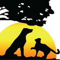 kainer logo