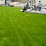 turf installation services