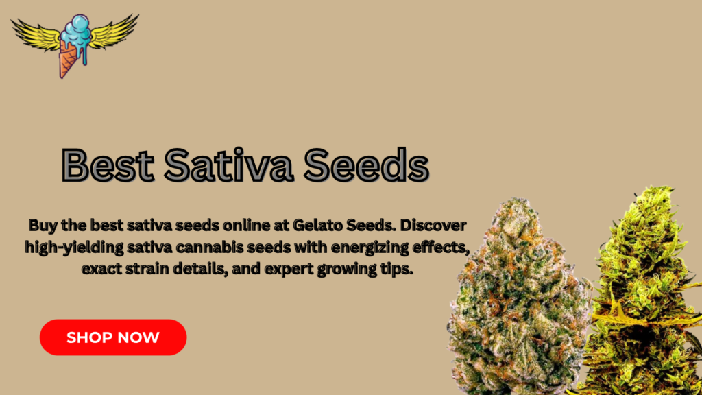 buy sativa seeds
