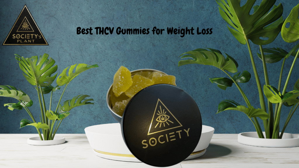 Best THCV Gummies for Weight Loss (3)