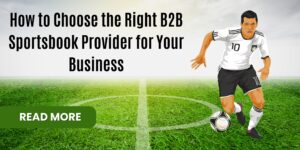 Choose the Right B2B Sportsbook Provider