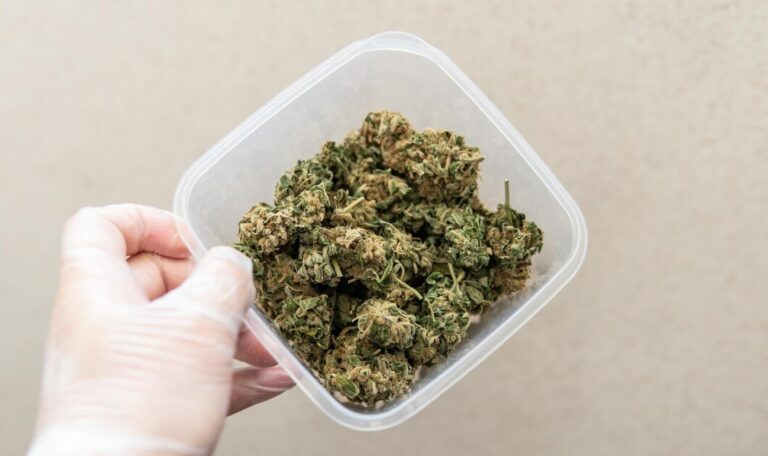 Cannabis delivery Kitchener