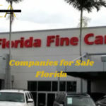 Companies for Sale Florida (10)