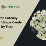 Grape Candy Runtz Strain
