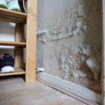 How to Avoid Moisture Problems in New Homes