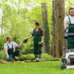 Landscaping Maintenance