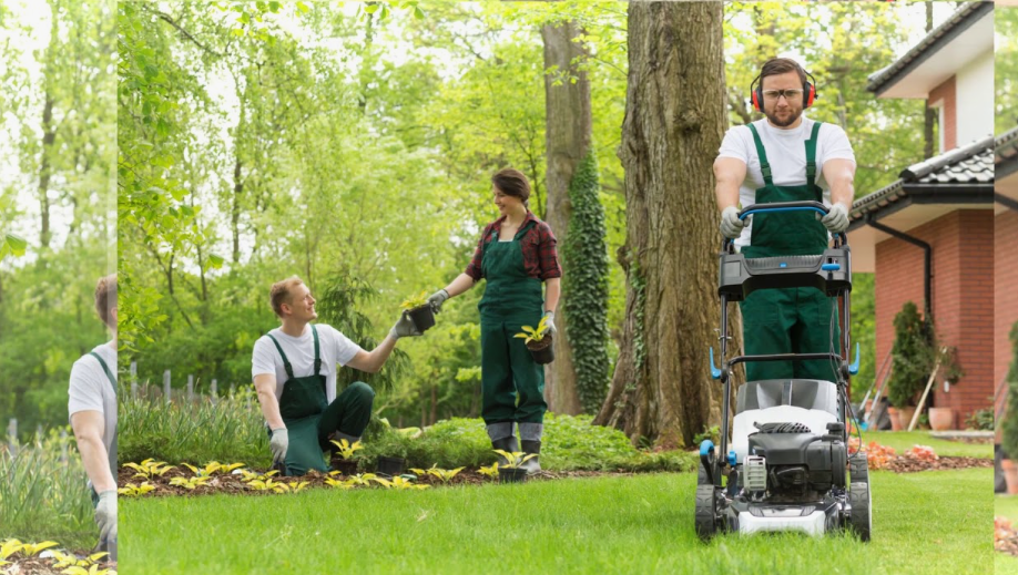 Landscaping Maintenance