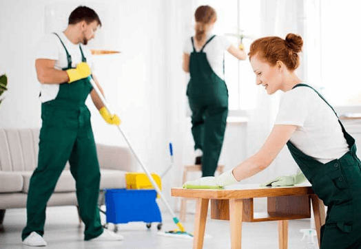 Weekly/Bi-Weekly Home Cleaning