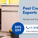 termite control company