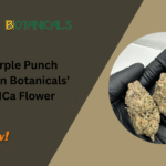 Purple Punch Strain