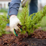 istockphoto-1319662277-612x612 (2)