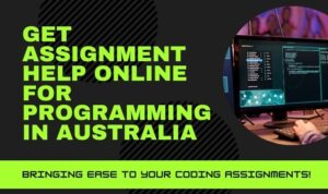 code assignment help