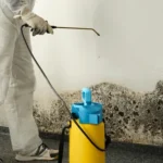 mold remediation services