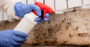 Mold in Long Beach: What Every Homeowner Needs to Know