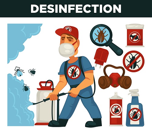 Extermination or pest control service and sanitary domestic disinfection vector flat design poster.