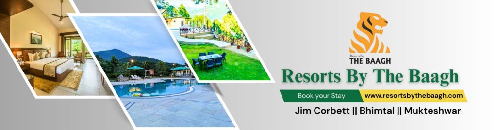 Best resorts in jim corbett