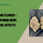 Buy Zushi Flower