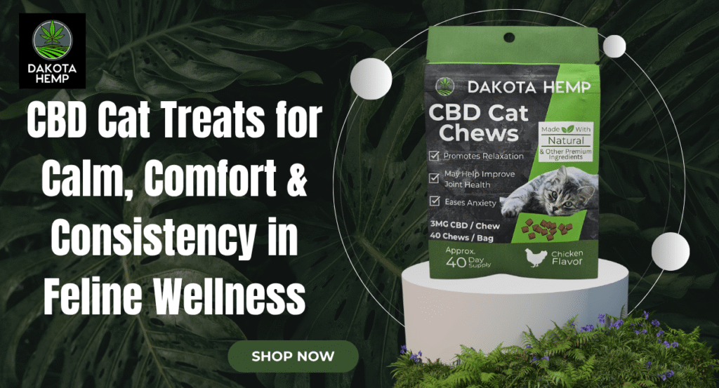 CBD Cat Treats