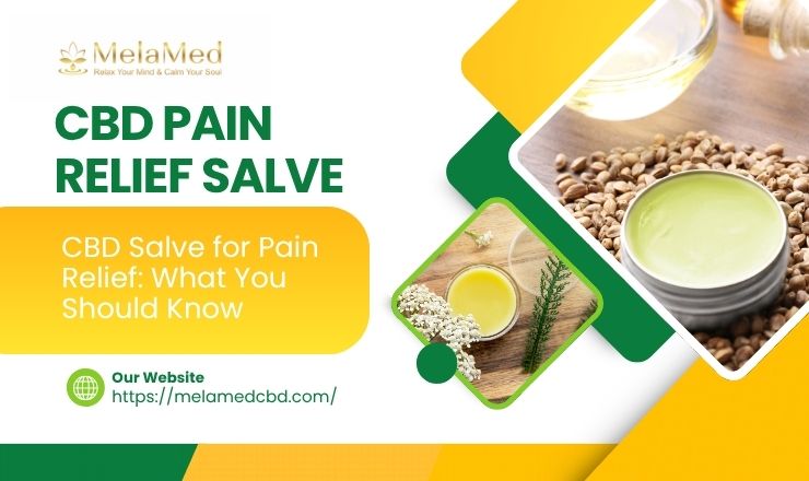 CBD pain relief salve - image