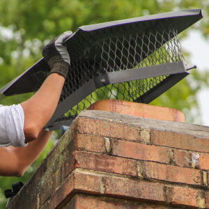 Chimney Animal Removal