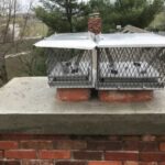 Chimney Animal Removal