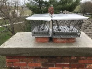 Chimney Animal Removal