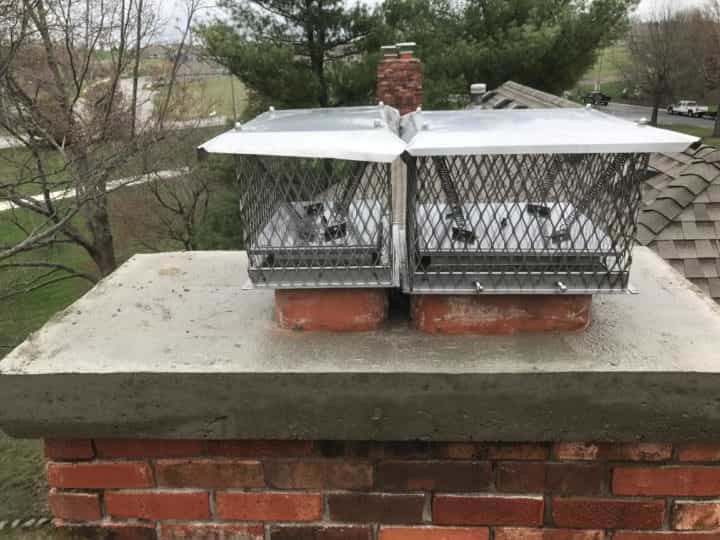 Chimney Animal Removal