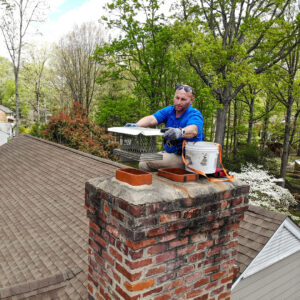Chimney Animal Removal