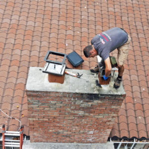 Chimney Animal Removal