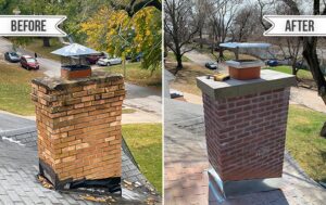 Chimney Animal Removal