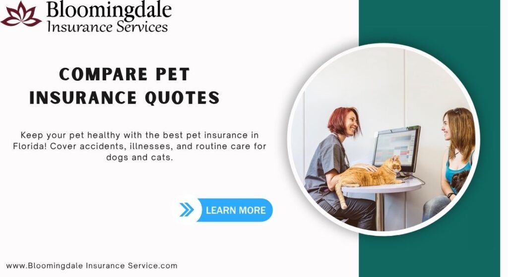 Compare Pet Insurance Quotes