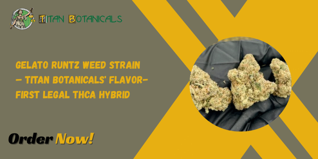 Gelato Runtz Weed Strain