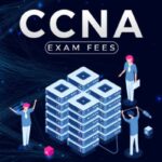 Can a Beginner Without IT Experience Successfully Learn and Pass the CCNA?